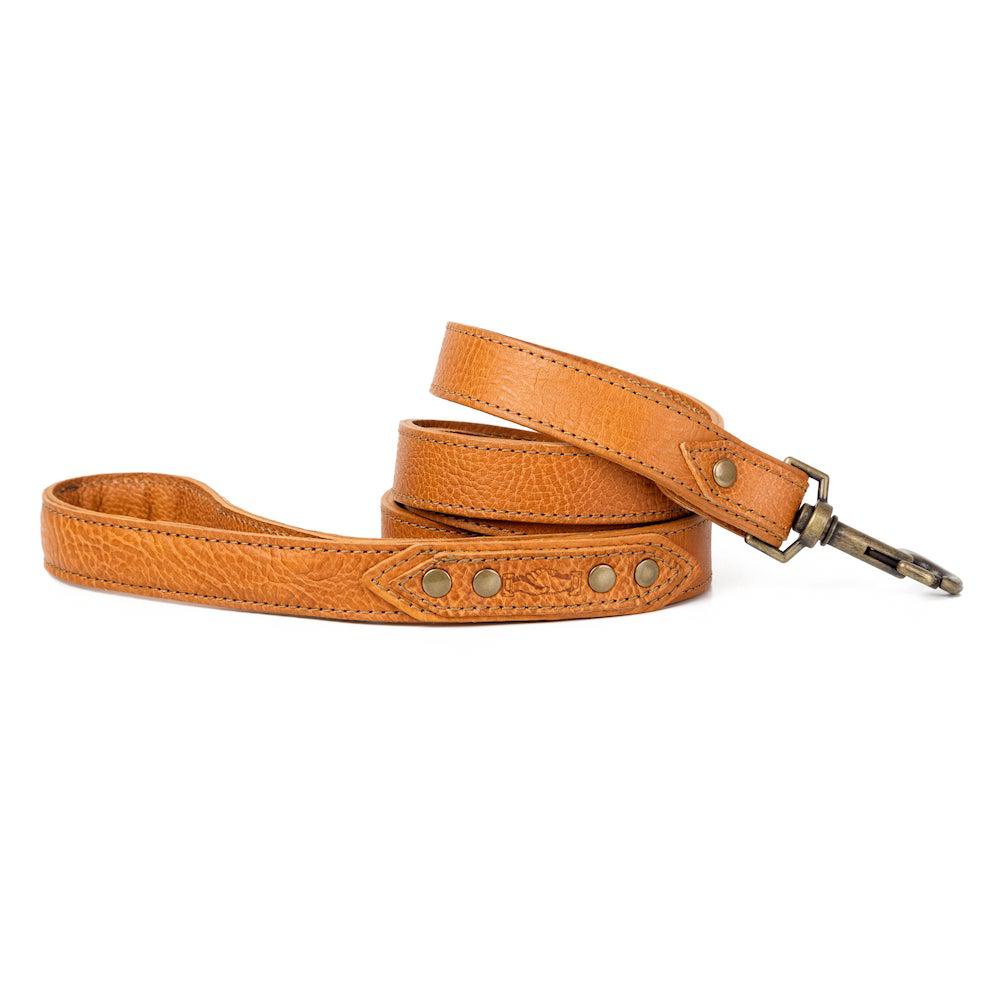 Campaign Leather Dog Leash - Sportsman Gear